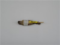 藏品(斑文鳥)的圖片